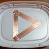 なめくじ退治実験を開始する！
