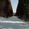 ３／１４沖ノ山の写真