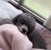 初めまして！