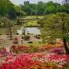 夫が帰宅したよ