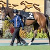 次に移動はどの馬だ!?