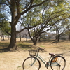 新しい自転車🎵