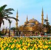 イスタンブールに行ったわけ