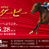 日本ダービー　2017開幕！　東京競馬場 駐車場情報を詳しくご紹介！車で来る人必見！周辺の格安駐車場も併せて紹介！