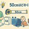 50cmってどれくらい？身近なものと比較してみた！