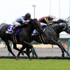 日曜競馬　展望