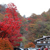 日塩もみじラインの紅葉