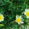 １０月６日