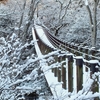 花貫渓谷　雪の吊橋