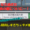 《相鉄》【ちょっと進化】何もなかった羽沢横浜国大駅前も少し充実したものへ！