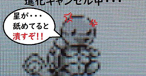 75 ポケモン 進化 キャンセル やり方 ディズニー画像のすべて