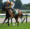 マーメイドステークス 2024: 注目の牝馬レースを徹底解説