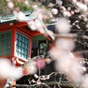 春の鎌倉散策　～鎌倉宮・瑞泉寺・荏柄天神社～ 