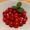 実家からのプレゼント