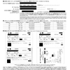 デルタ航空ニッポン500に申込んでみた！