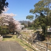 岩城島 積善山 桜公園の脇