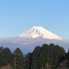 今朝の景色