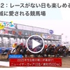 ［地方競馬］ＳIIIニューイヤーカップ２０２５サイン考察①出走馬馬名由来＆うまカルテット