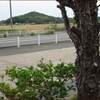 小さな麦畑の収穫★ゼラニウムのドライ