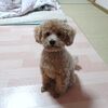 引き続き快調