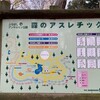 ノアで長男一家とふなばしアンデルセン公園