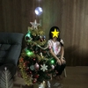 クリスマスの準備！