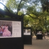 ローマ地区街歩き | 公園でボ〜ッと編