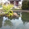 亀の池