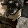 ふくすけ特集やっちゃうよ
