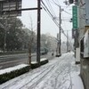 大雪ですが