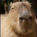 りょうちゃんの学び