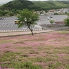 #「世界遺産知床旅行」行ってきました～の話。😊