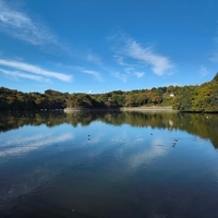 人造湖　artificial lake