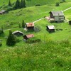 スイスの旅：花盛り、花の谷を歩く