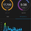 Garmin conect VS Suunto Movescount