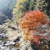 里山の風景