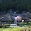 天気が良い日は頭痛も吹っ飛ぶ？