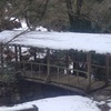 【愛媛の秘境】雪を被った屋根付き橋はとても美しかったです