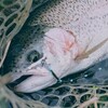 ガリバーフィッシングガーデン釣行　有魂釣会様にまたまた助けられた最下級
