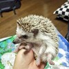 結婚式ムービーの材料が集まったZo★