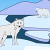 極地の動物　白い砂漠のハンター: ホッキョクギツネの狩り