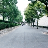 Photo No.2070 / 予告通り