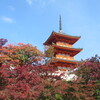 京都清水寺2020紅葉