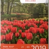 2019 キューケンホフ公園事情  １