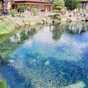富士五湖の旅 その2 山中湖泊のあとは忍野八海を散歩
