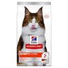 【実体験】ヒルズ 腸の健康サポートプラスで愛猫の便秘解消！驚きの効果と注意点