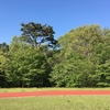 胃潰瘍が全快しました！