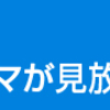 たまに見かけるステータス達成時＆誕生日のＣＡさんからのお祝いの実際