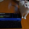 FILCOのキーボードが気持ちよすぎて好きすぎる