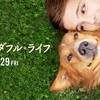 【映画】僕のワンダフルライフ 感想 　「とにかく世界で一番大好きなんだ」とあなたの犬は叫んでる。